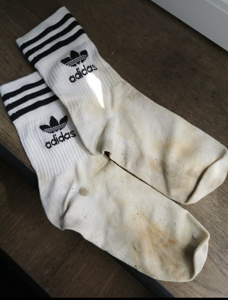 Maitre_Lucas1's tweet photo. Qui veut mes chaussettes de branle ? 💦 dm 

#findom #cashmaster #moneyslave #rtgame #humancow #cashcow #gaysoumis #sodomiecerebrale #findomfr #humanatm #pigeon #soumis #cho7 #socks #chaussette #sale https://t.co/o066BOOG1M