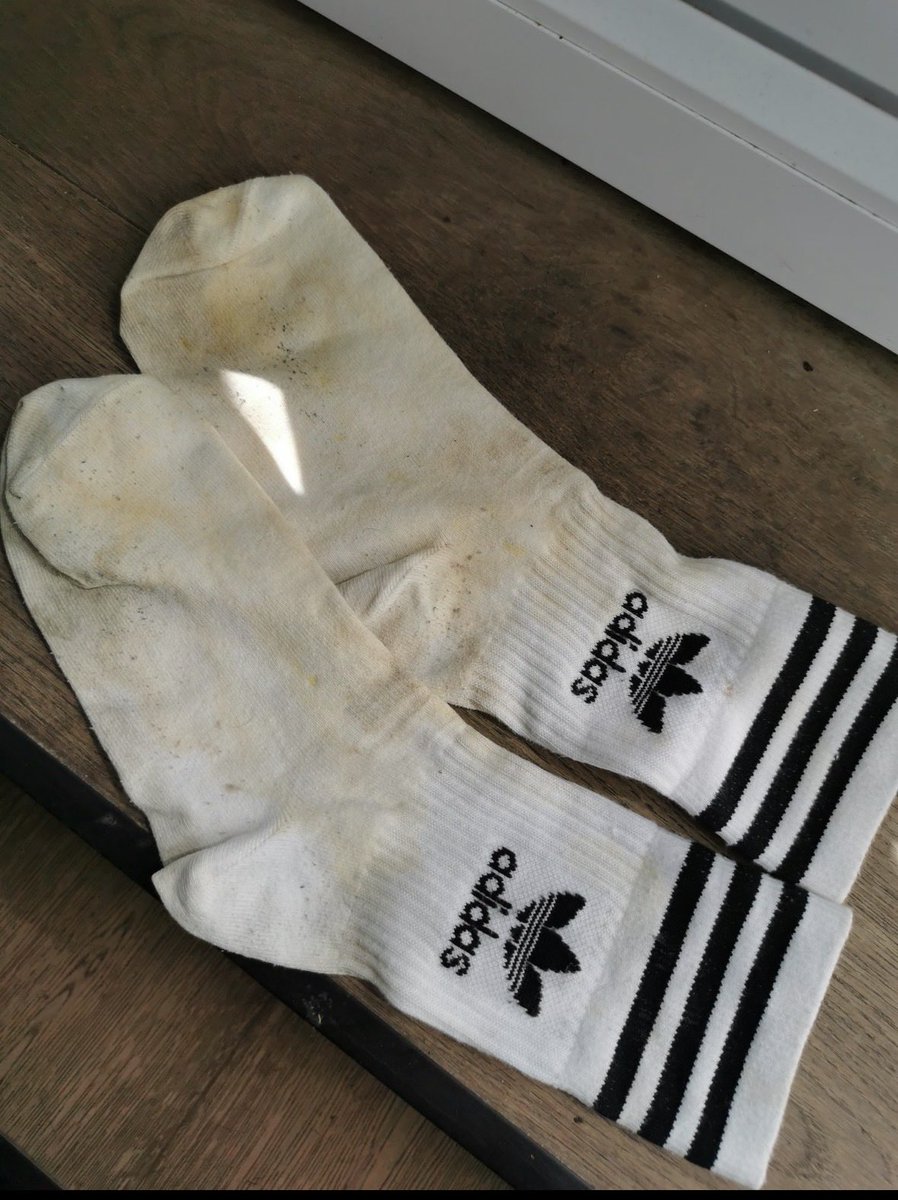 Maitre_Lucas1's tweet photo. Qui veut mes chaussettes de branle ? 💦 dm 

#findom #cashmaster #moneyslave #rtgame #humancow #cashcow #gaysoumis #sodomiecerebrale #findomfr #humanatm #pigeon #soumis #cho7 #socks #chaussette #sale https://t.co/o066BOOG1M