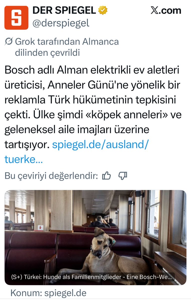 Prof Dr. Nebahat BULUT tweet media