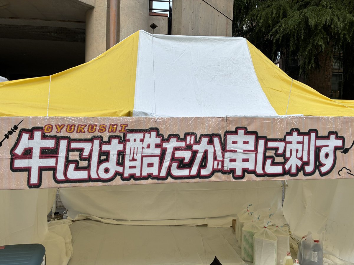 限界まで足掻いた人生 tweet media