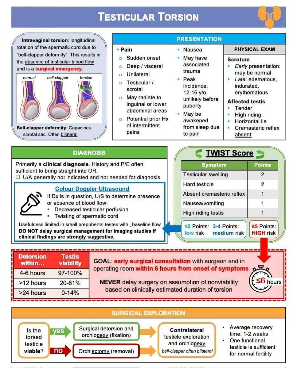 Meded Daily tweet media