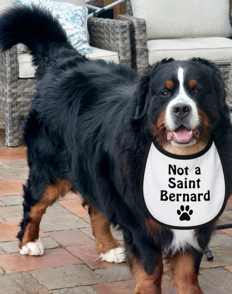 RevaliTheBerner tweet media