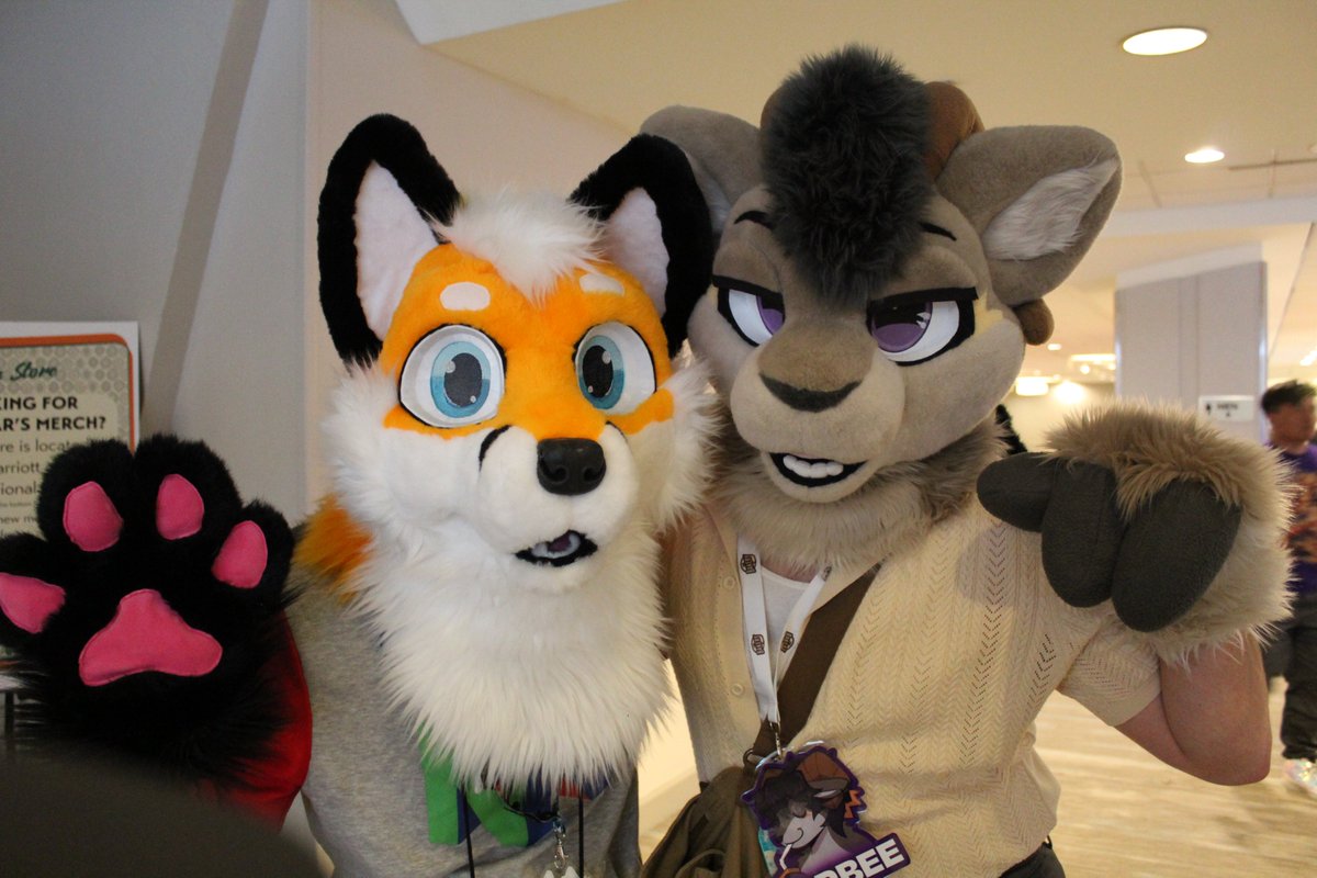 Xander Fox tweet media