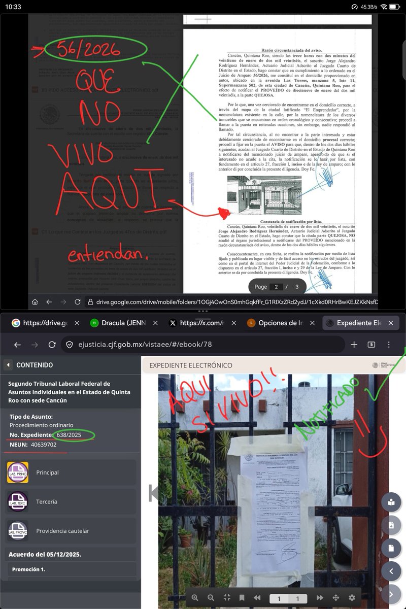 eCoGεN¹O tweet media