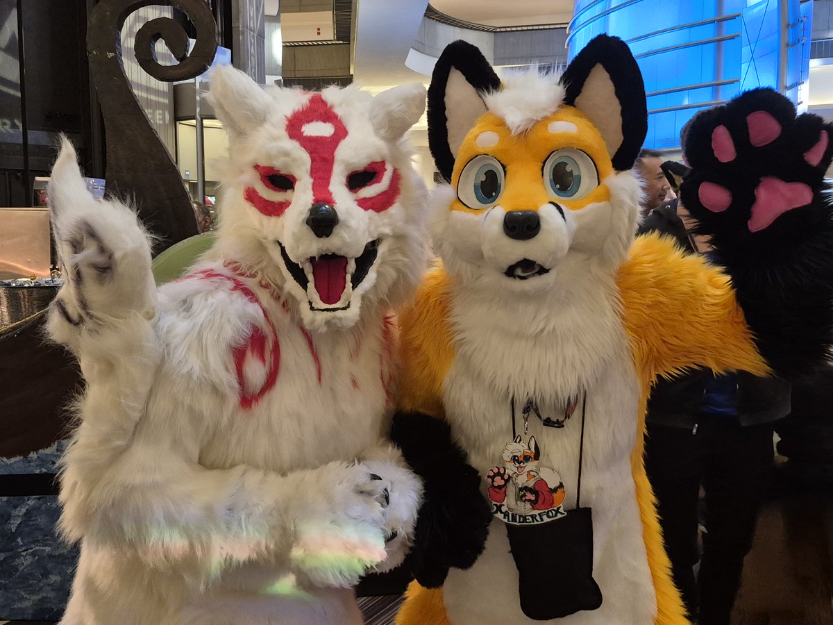 Xander Fox tweet media