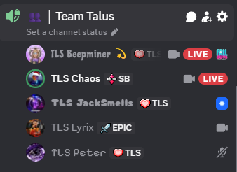 TeamTalusGG's tweet photo. Talus VCs are popping off atm 🔥 https://t.co/p5fdWdsaa2