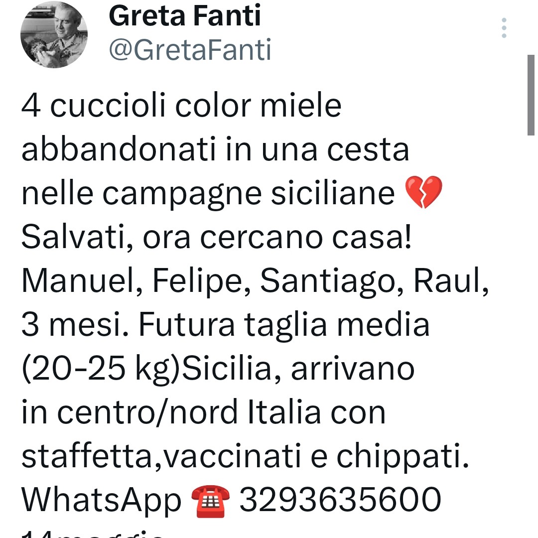 Emilystellaemi2 tweet media