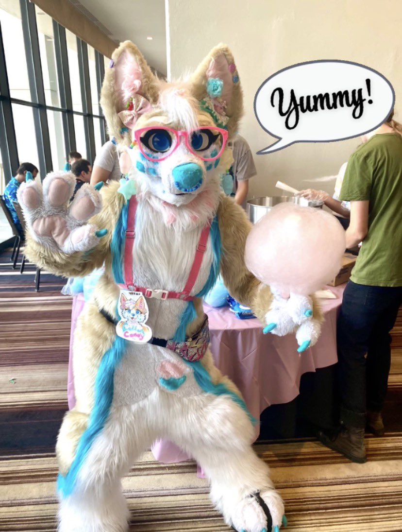 CorgiCc's tweet photo. The Cotton Candy Corgi, me CC got to live to the fullest at the FWA Cotton Candy party! Definitely a highlight of my con 💖🎉🙌💫 I hope everyone that came out got to enjoy it as much as I did 🫶 
#CCthecorgi #FWA #FWA2026 #cottoncandy #furry https://t.co/2dXuNQXXW1