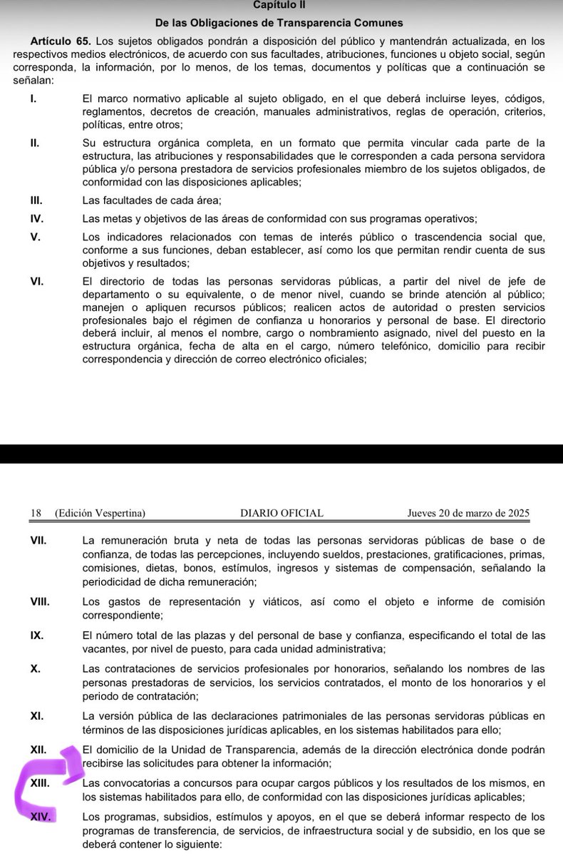 María del Carmen Nava Polina tweet media