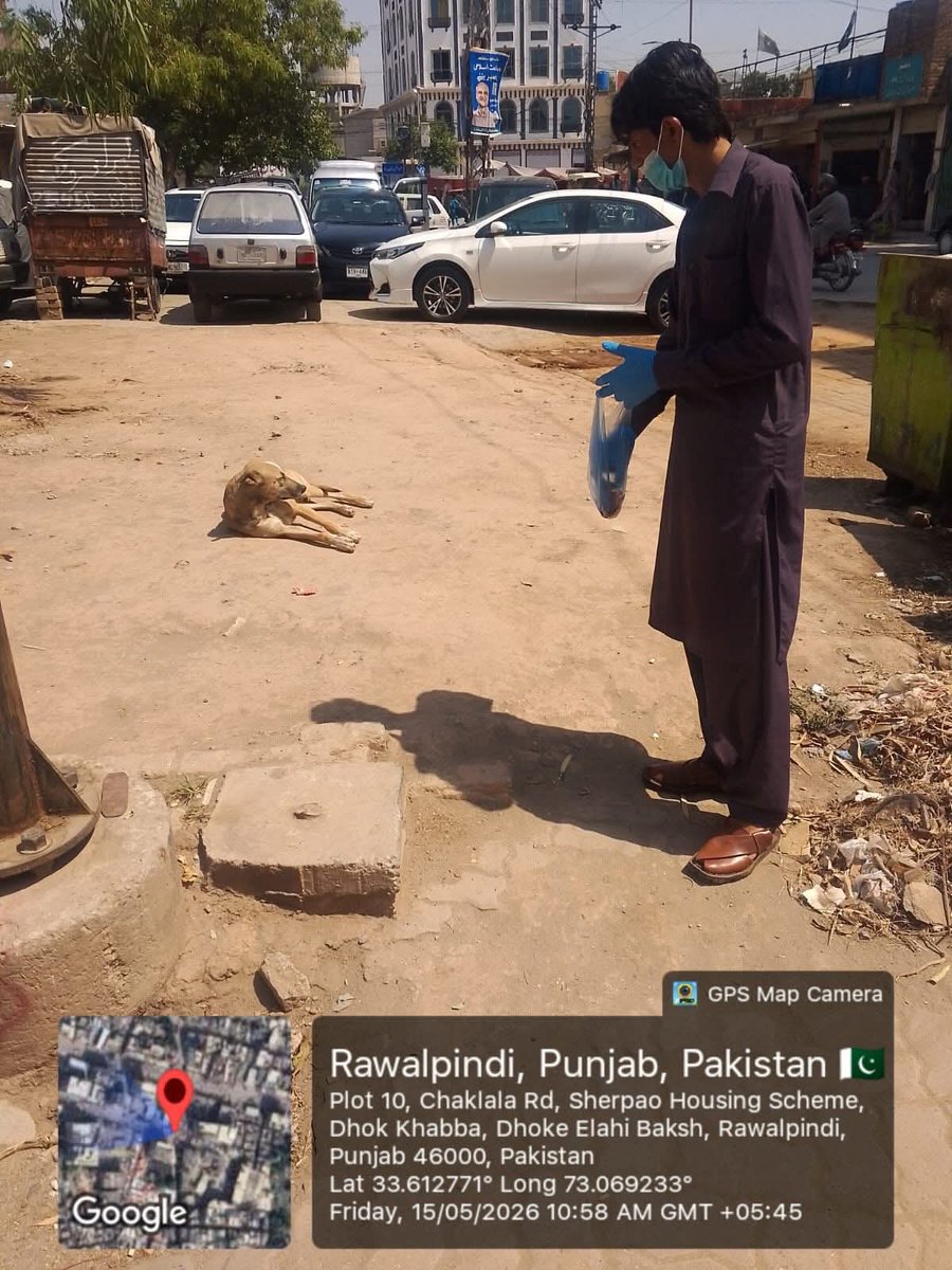 Rehman ghouri tweet media