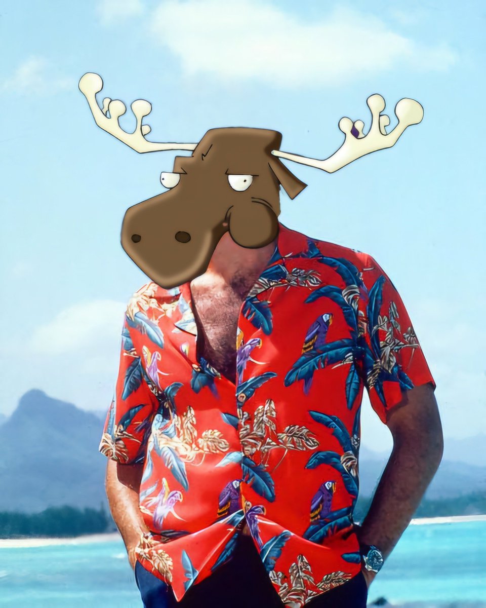 Moose Bro tweet media