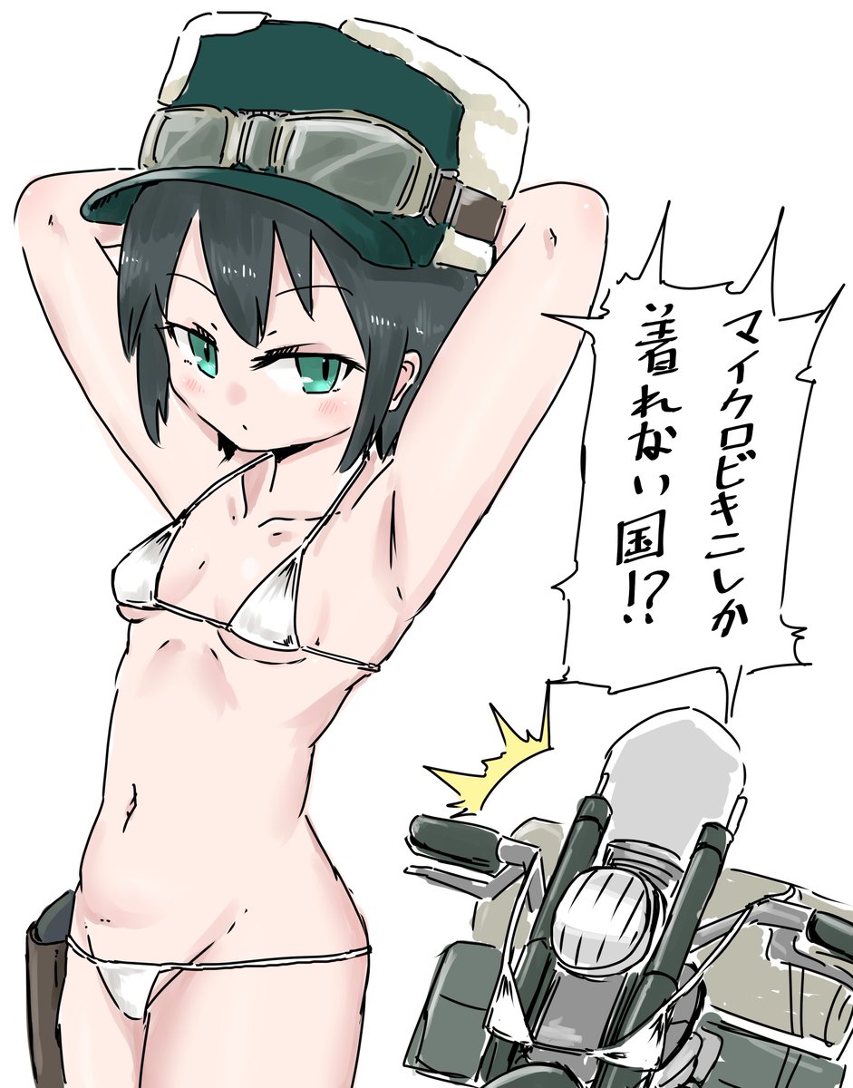 豪猪 tweet media