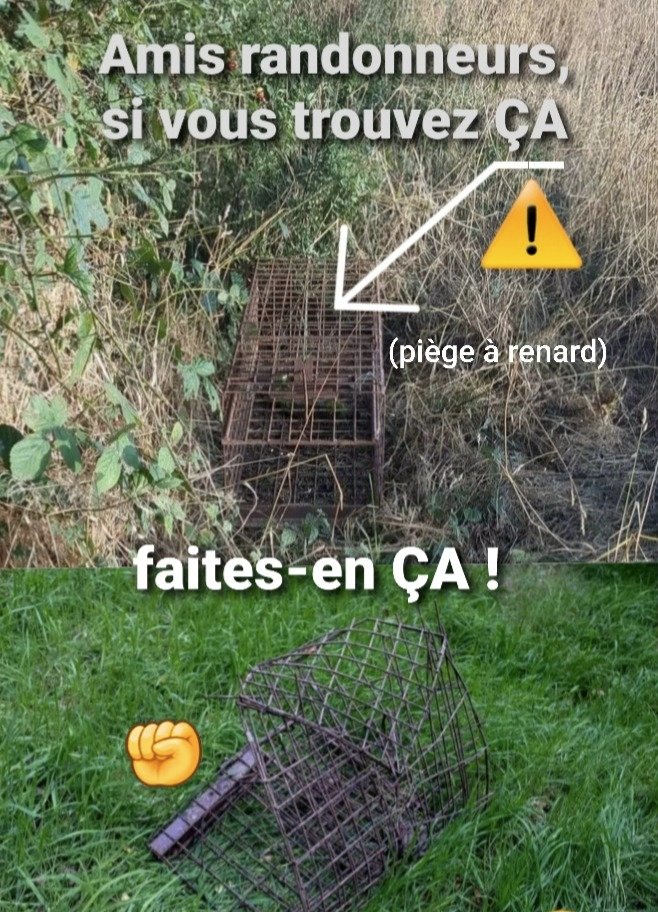 ChasseAbolition's tweet photo. https://t.co/LFxLRo1itA https://t.co/ocUEfnxosF