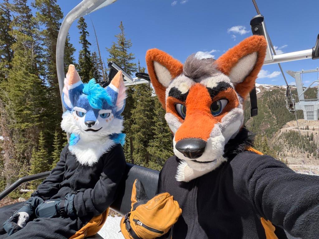 NORTH 🔜 MP, DENFUR tweet media
