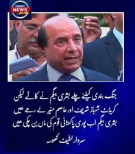Soulat Pasha tweet media