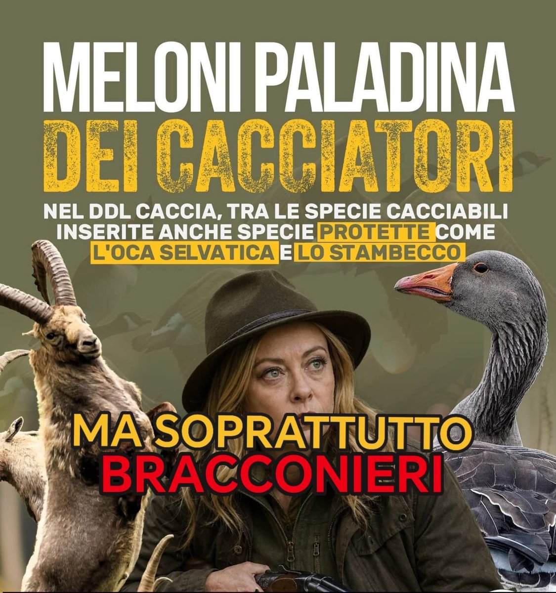 laura tweet media