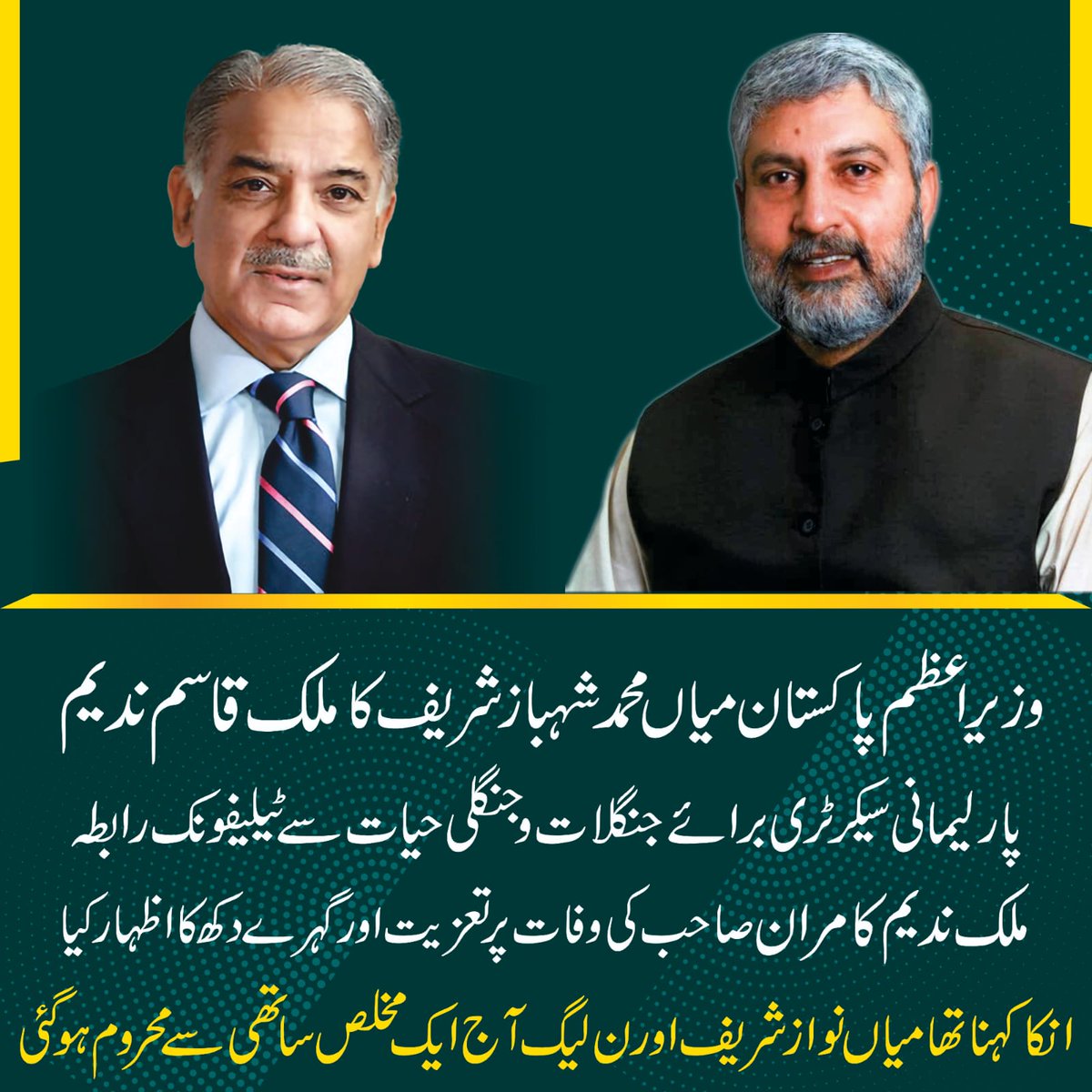 Qasim Nadeem tweet media