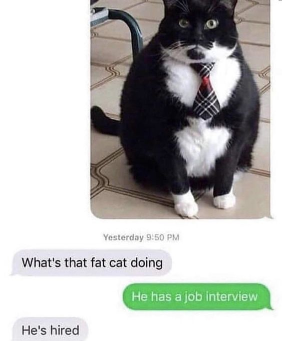 WholesomeMemes tweet media