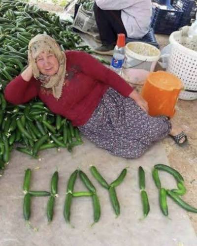 lan askim tweet media