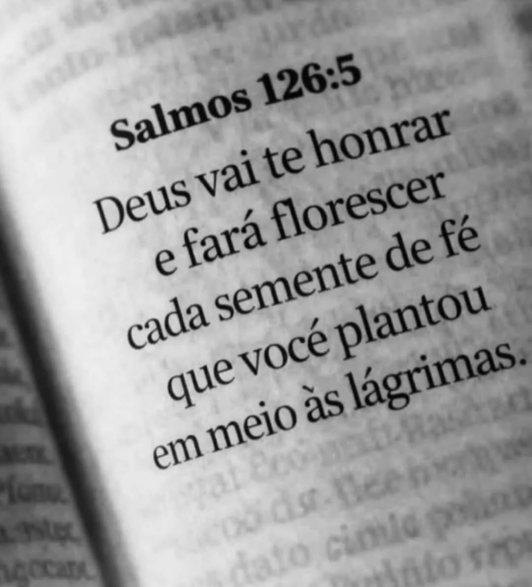 Trechos 📖 tweet media