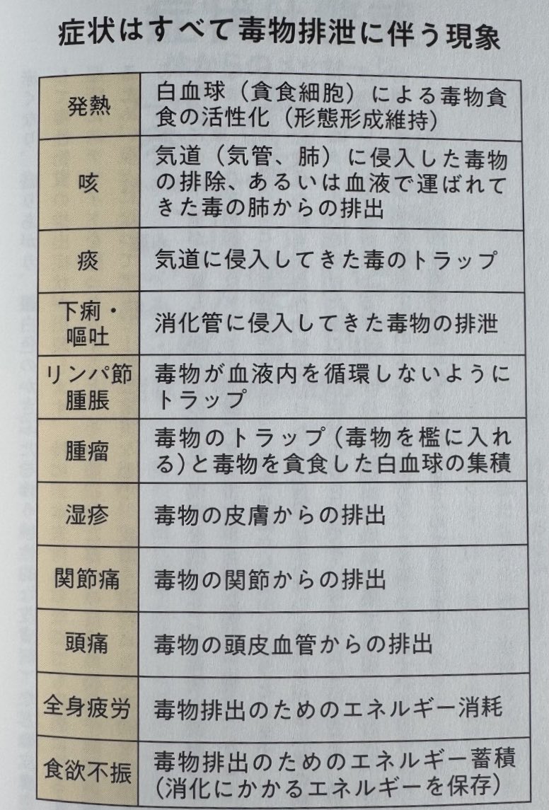 せん🧑‍🧒‍🧒子供の絶対的な味方♡ tweet media
