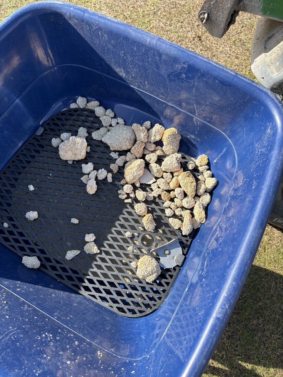 chrisbreen201's tweet photo. Not just on the football wind up today! Great evening to get an application of K-Step on the Bomore course greens this evening. Even if some of the bags of granular was like 6inch blocks!!!!! https://t.co/BTvz0crFpD