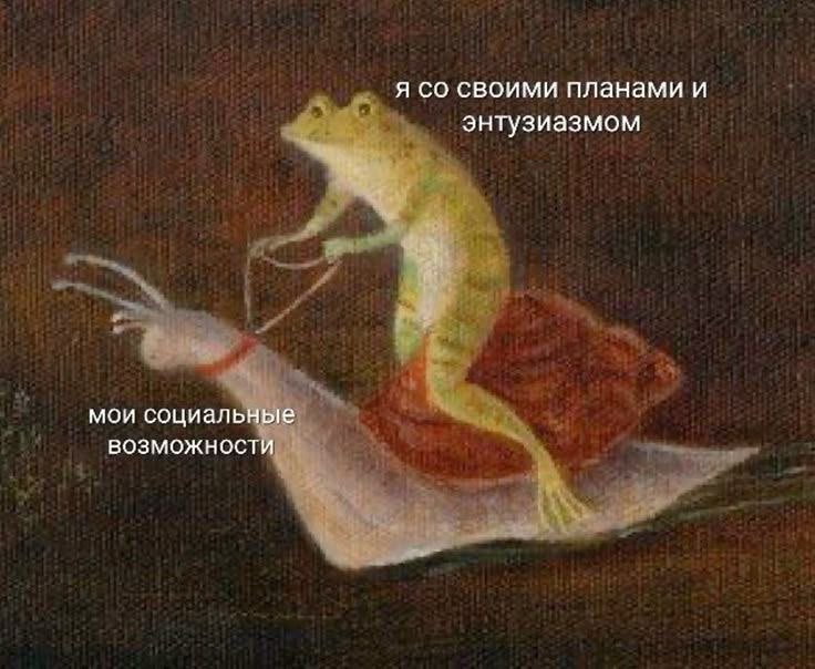 Сарара tweet media