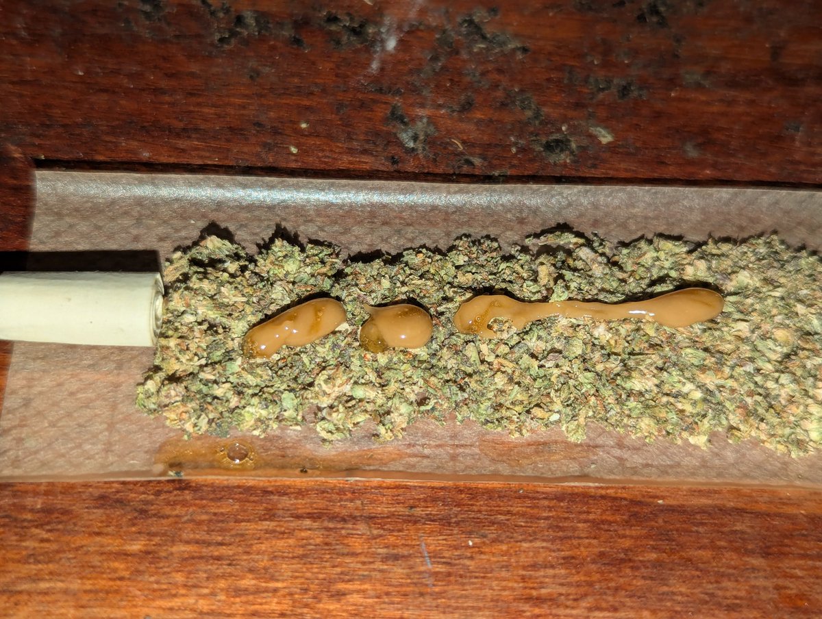 KailezTalkinGas's tweet photo. In progress 🍩 #Mmemberville #StonerFam https://t.co/VN9XxrOMj5