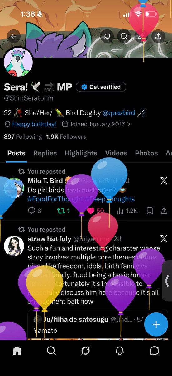 Sera! 🕊 🔜 MP tweet media