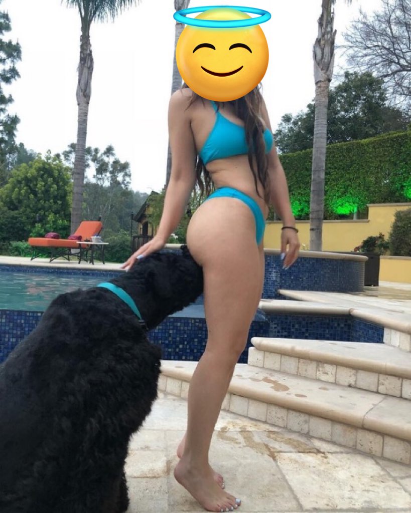 JessicaSim42006's tweet photo. Guess how it all ended ask for my menu to get access to my erotic videos ๐ฅ๐ฆ:@jenetcarpenter๐ถ๐๏ธ
๐๐
#Homade #artofzoo #kinky #Fetish #nsfw #taboo #zoolife #zoosexual #rapeme #zoophlia #beastial #Anal #uk #artofzoo #hentai https://t.co/pwp0ldGVSm