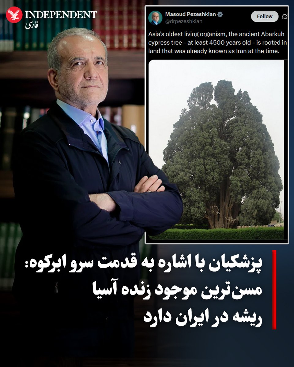 independentpersian tweet media