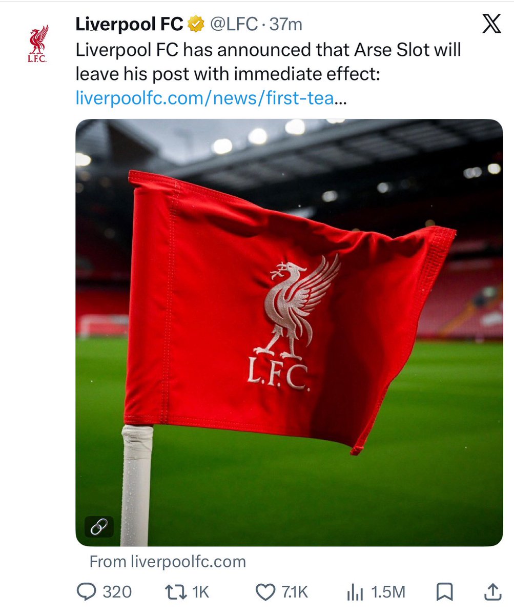 Niko Dymitrow tweet media