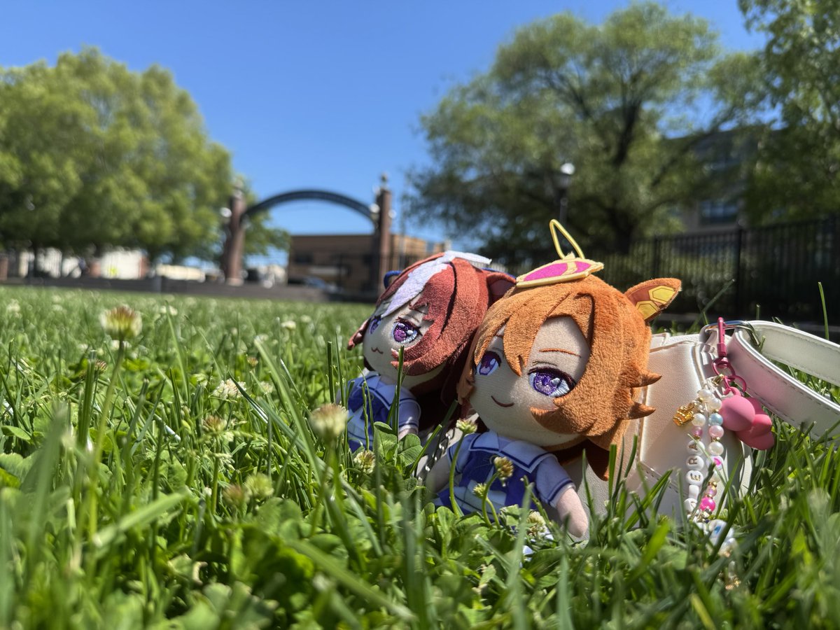 ryn ⭐️ tweet media
