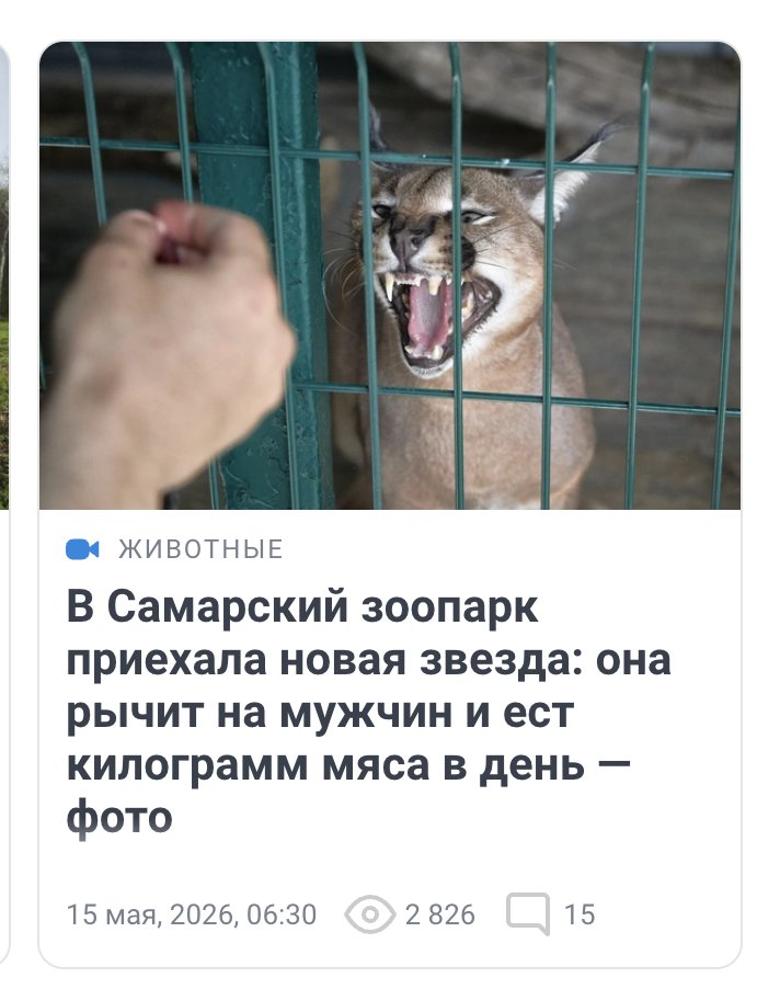 Yegor Fedorov tweet media