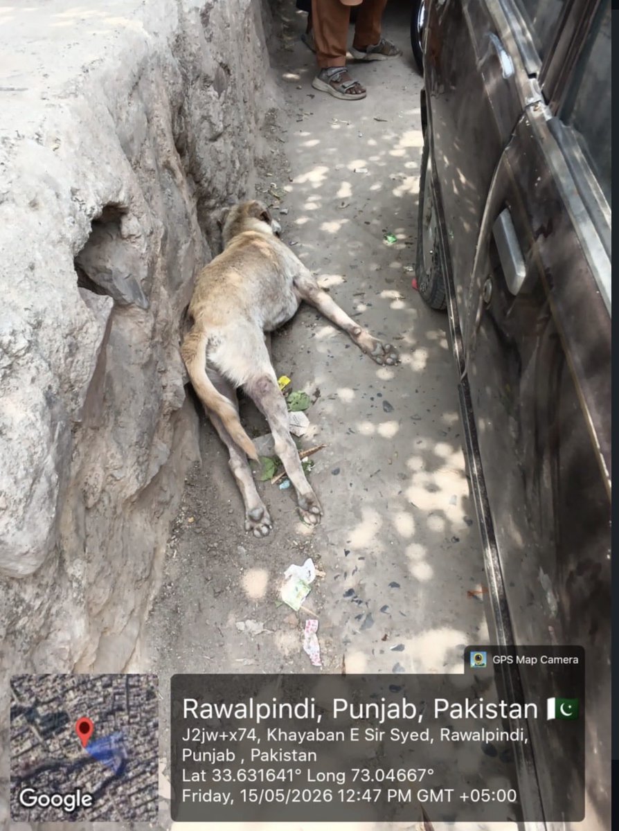 Huma Nawaz tweet media