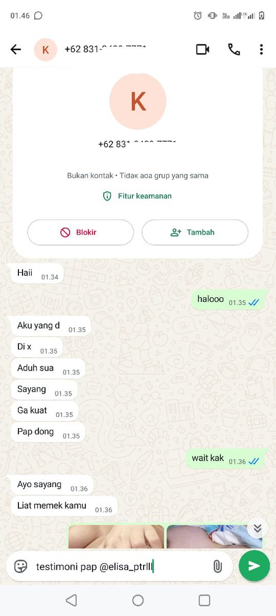 elisa putri tweet media