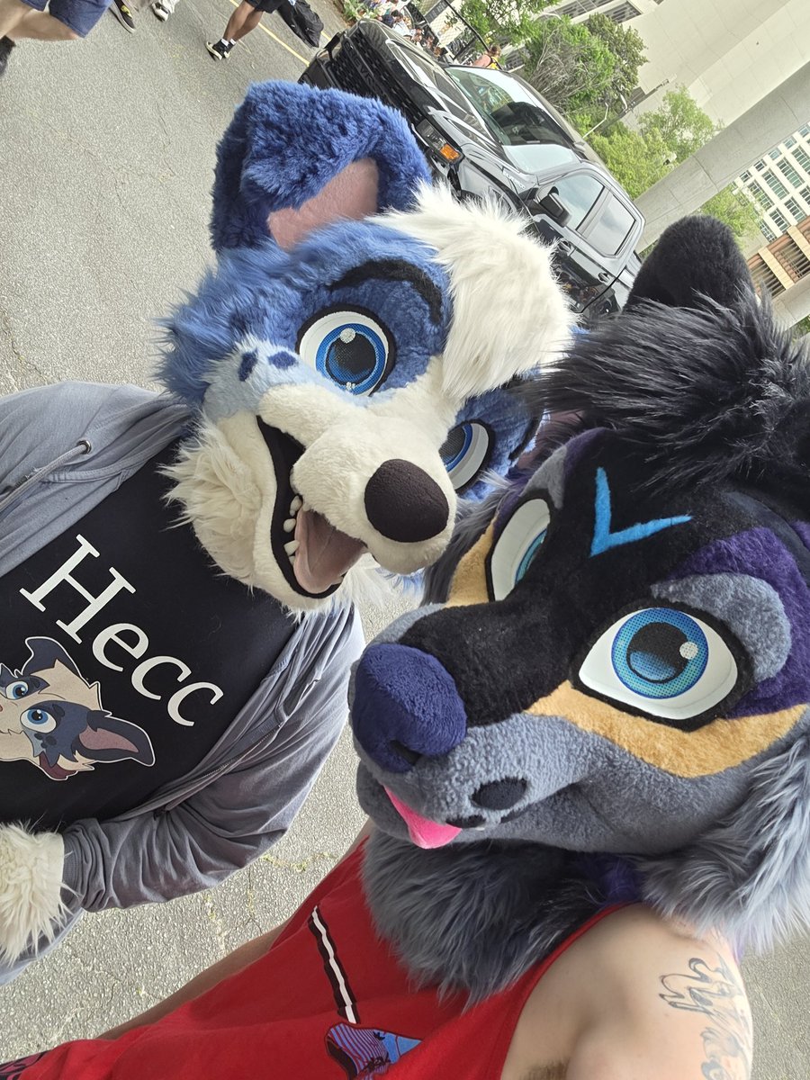 SpadeDaYote's tweet photo. #fwa photo dump from cars and collars https://t.co/ACNs5KR2ps