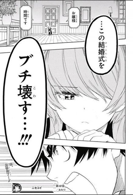 毎日馬鹿 tweet media
