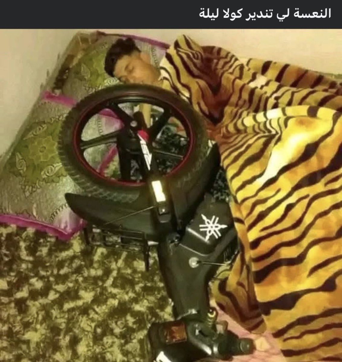 7eb lmlouk⁷ tweet media