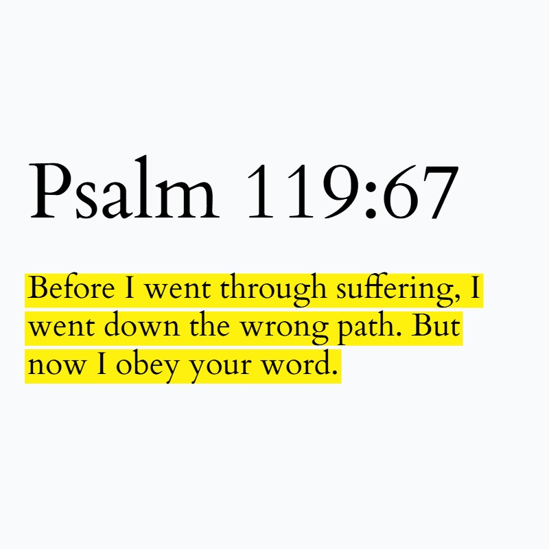 Holy Bible tweet media