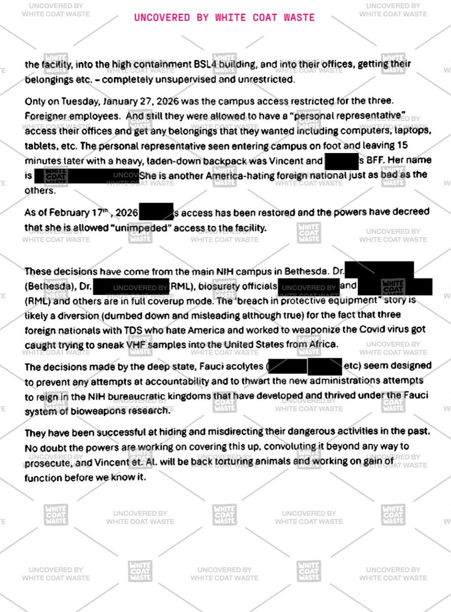 Laura Loomer tweet media