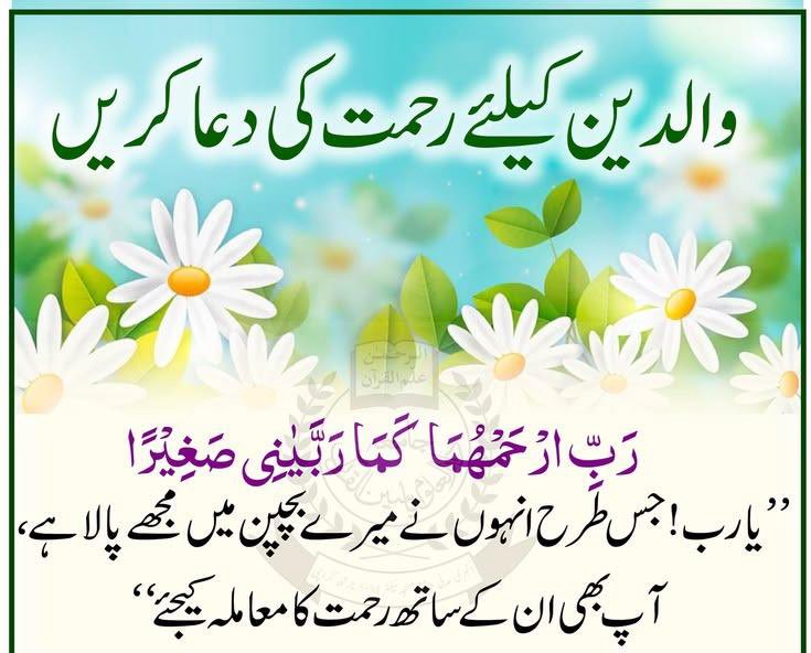 Humaira ( مروہ صدیقی ) tweet media
