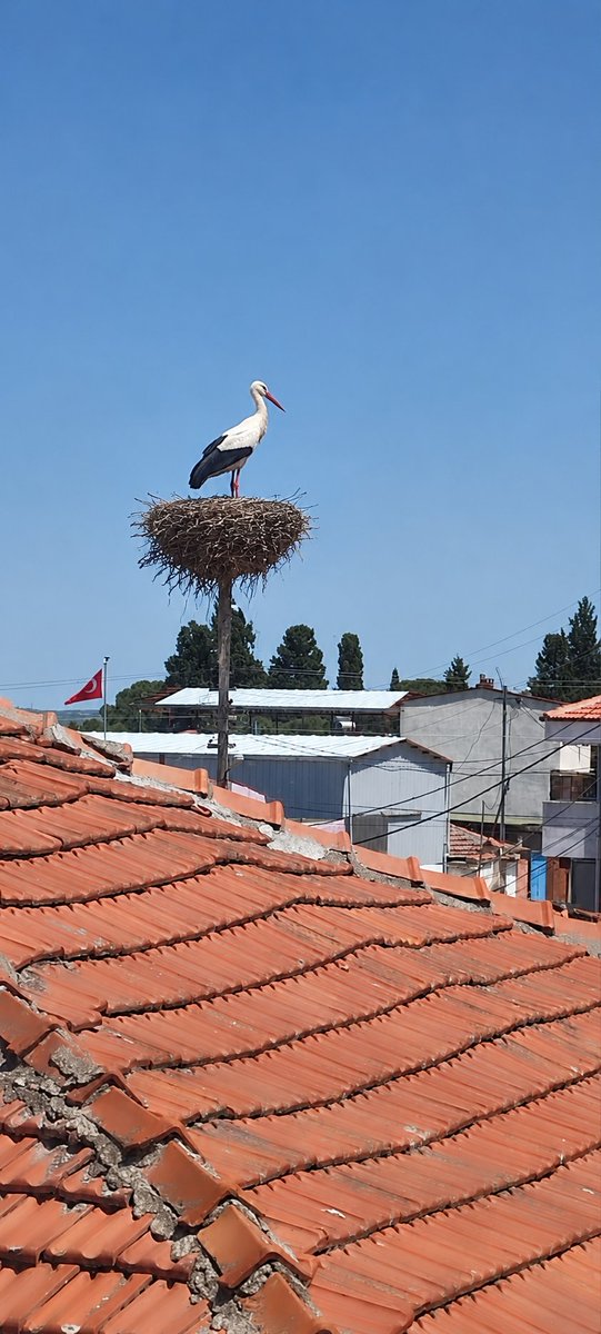 Hilalozman's tweet photo. Leyleggimizi de gorduk bileklikleri asip dilegimizi  ,dileyelim😇 https://t.co/EOaoYbQJKx