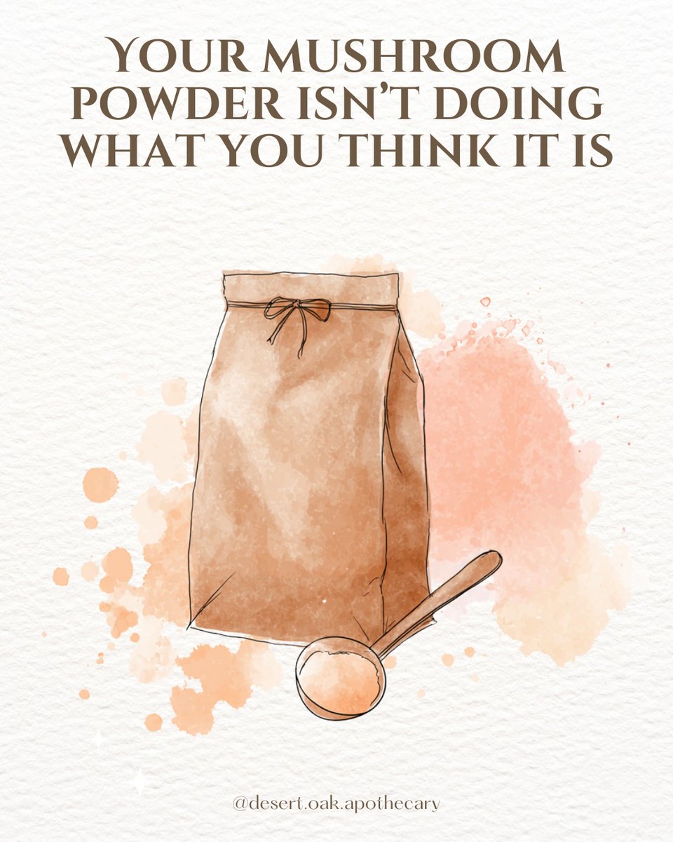 DesertOakApoth's tweet photo. all about mushroom supplements, and how to make sure you’re getting what you want!

Right now, we have Reishi, Lion’s Mane, Tremella, Cordyceps, and Turkey Tail all available in our shop.

Each one of them are triple-extracted to make sure we get all the value we possibly can from them. That means more benefits, straight to your body, no extra work needed ✨

Did you know this about mushrooms? Will you be reading ingredient labels differently? See below!