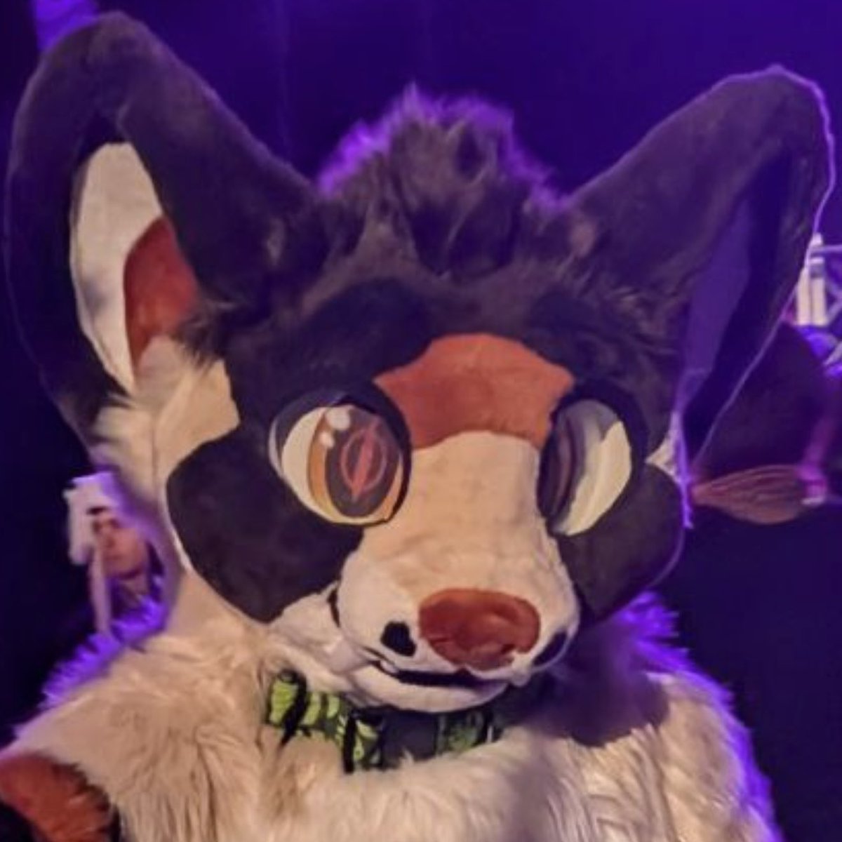 Archie 🔜 BLFC tweet media