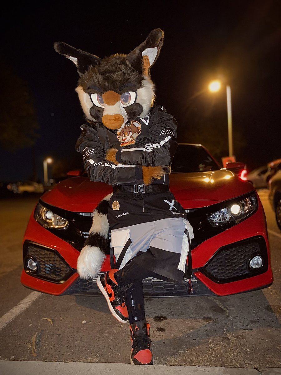 Archie 🔜 BLFC tweet media