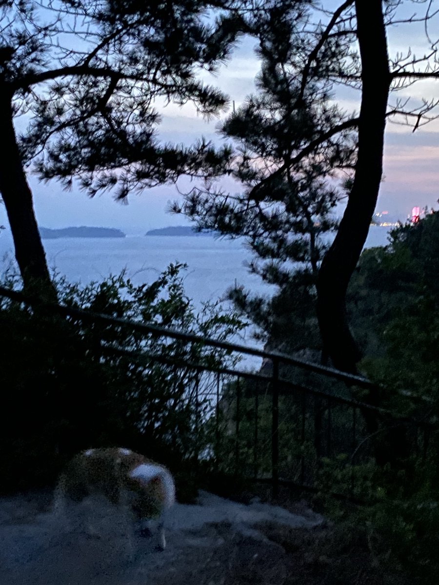 Ashui9910's tweet photo. 看海发呆
18:00
石头很好看，寻找的过程很像去Bunga Mekar的途中。

📍燕窝岭停车场
#大连 https://t.co/rZg6qyhQ9K