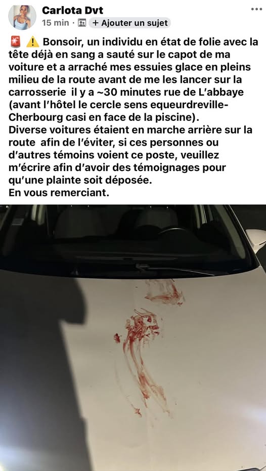 Fdesouche.com est une revue de presse tweet media