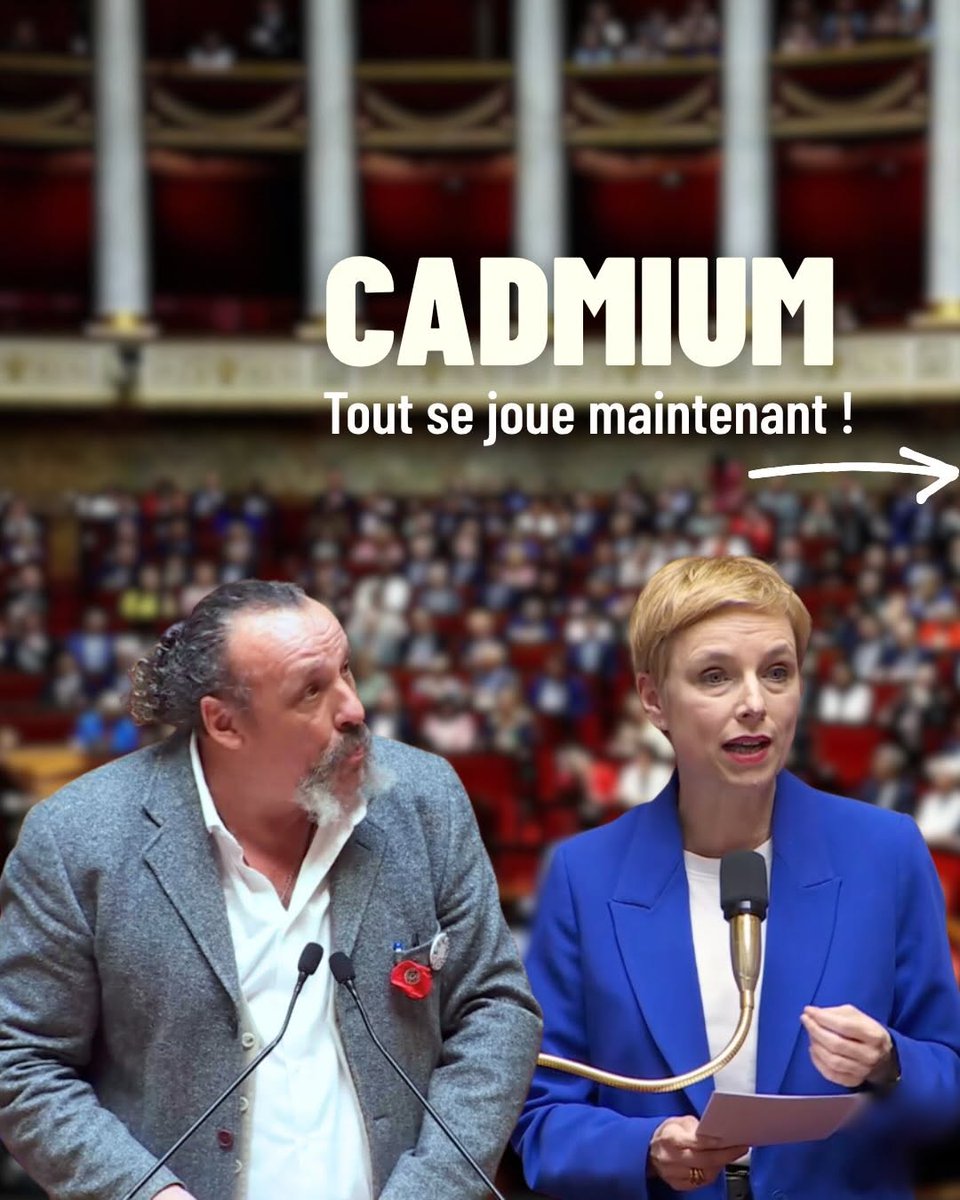 Clémentine Autain tweet media