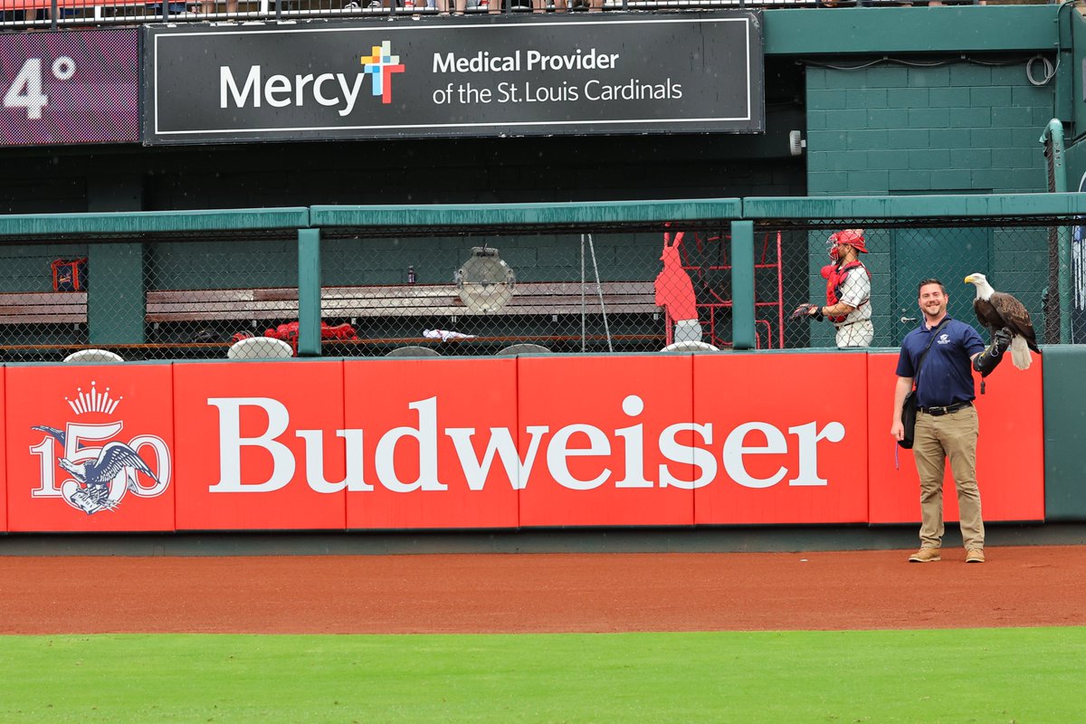 St. Louis Cardinals tweet media